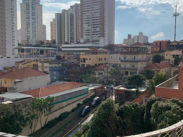 Venda em Santa Teresinha - São Paulo